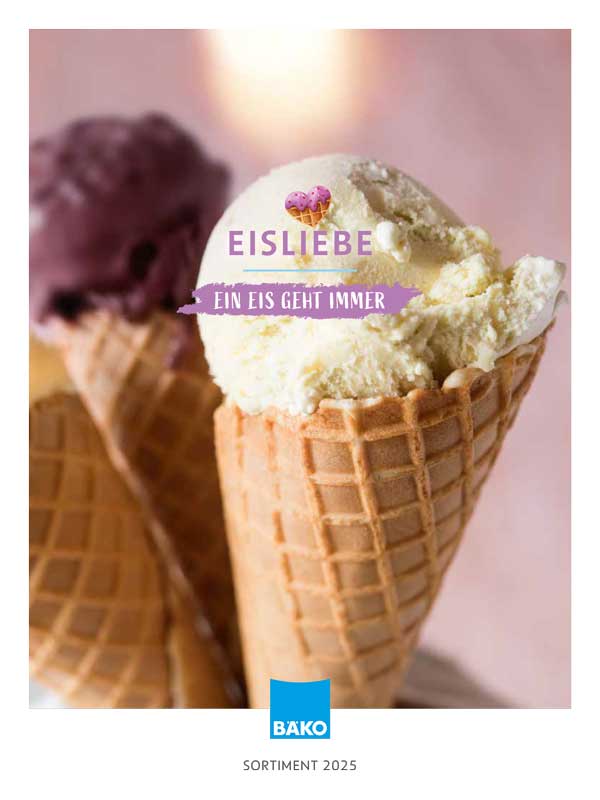 bko eiskatalog v03 1